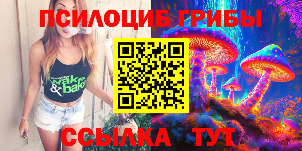 магазин продажи наркотиков  Вход с VPN  Галлюциногенные грибы Cubensis  Тутаев  Псилоцибиновые грибы мухоморы 