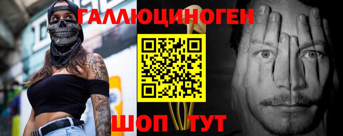 Псилоцибиновые грибы Psilocybe Тутаев
