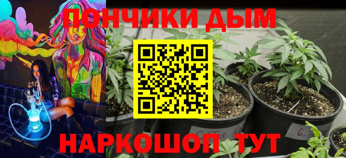 Тутаев  Шишки марихуана LSD WEED  Марихуана планчик  Вход с VPN  Конопля VHQ 